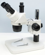 BMSF Trinocular Stereomicroscope + Plain stand