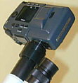 Digital camera adapter