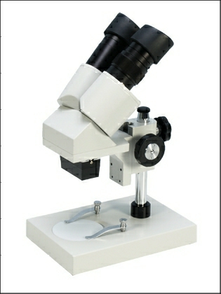 Stereomicroscopes