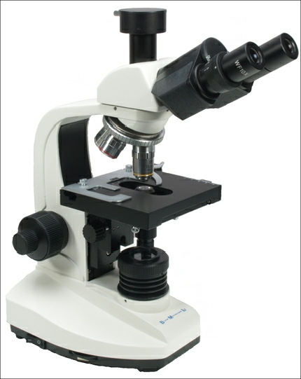 Winchester Microscopes